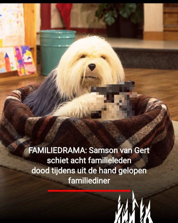Octaaf de B. en Eugène van L. arriveerden kort na het familiedrama bij de woning, waar zij de acht slachtoffer…